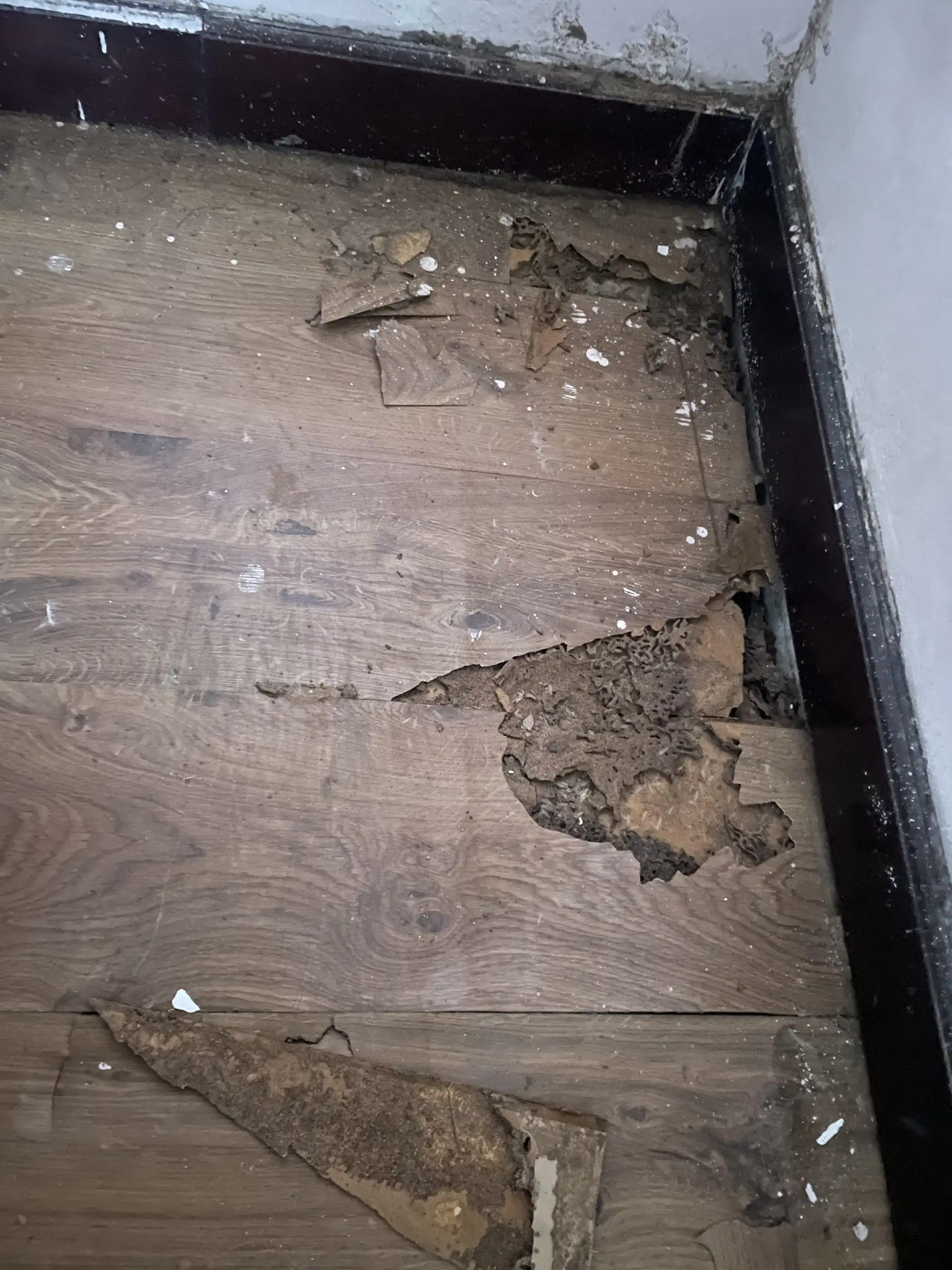 NHA PHUONG SAI 1 - hiện trạng (2)