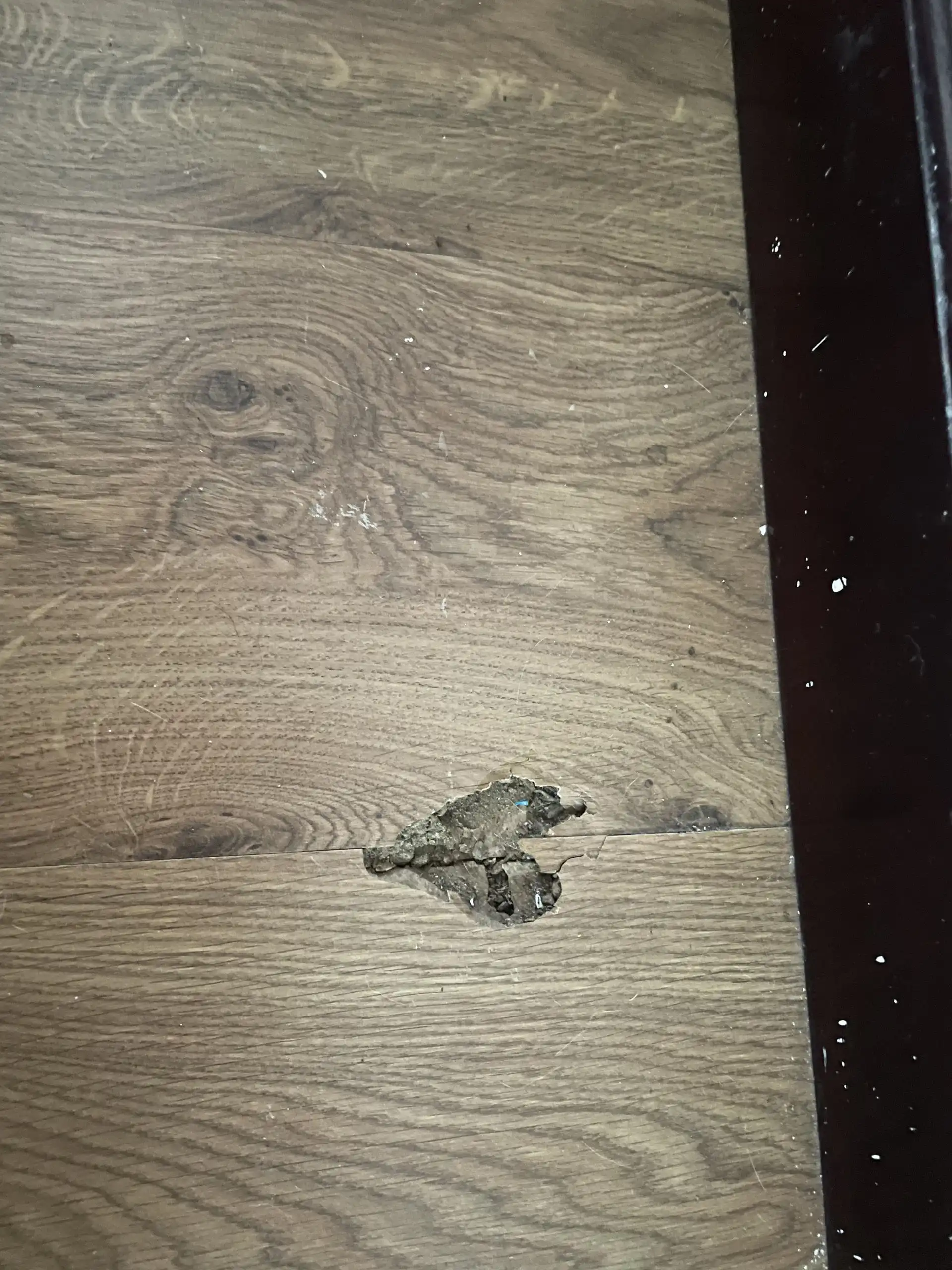 NHA PHUONG SAI 1 - hiện trạng (3)