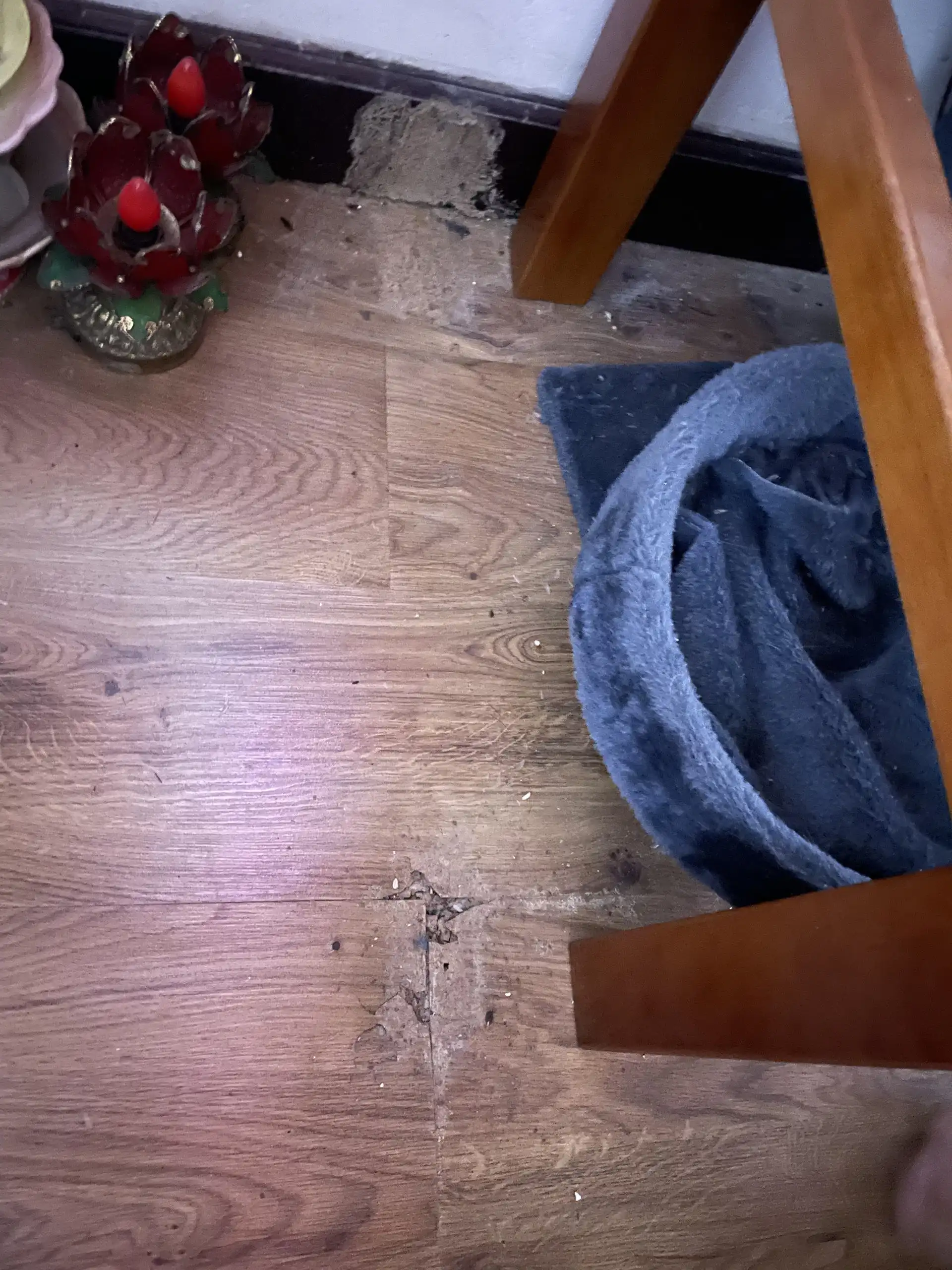 NHA PHUONG SAI 1 - hiện trạng (4)