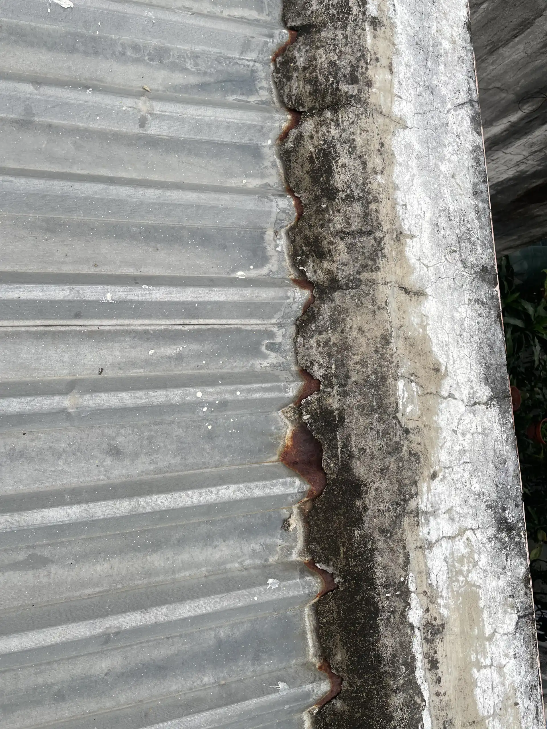 NHA PHUONG SAI 1 - hiện trạng (7)